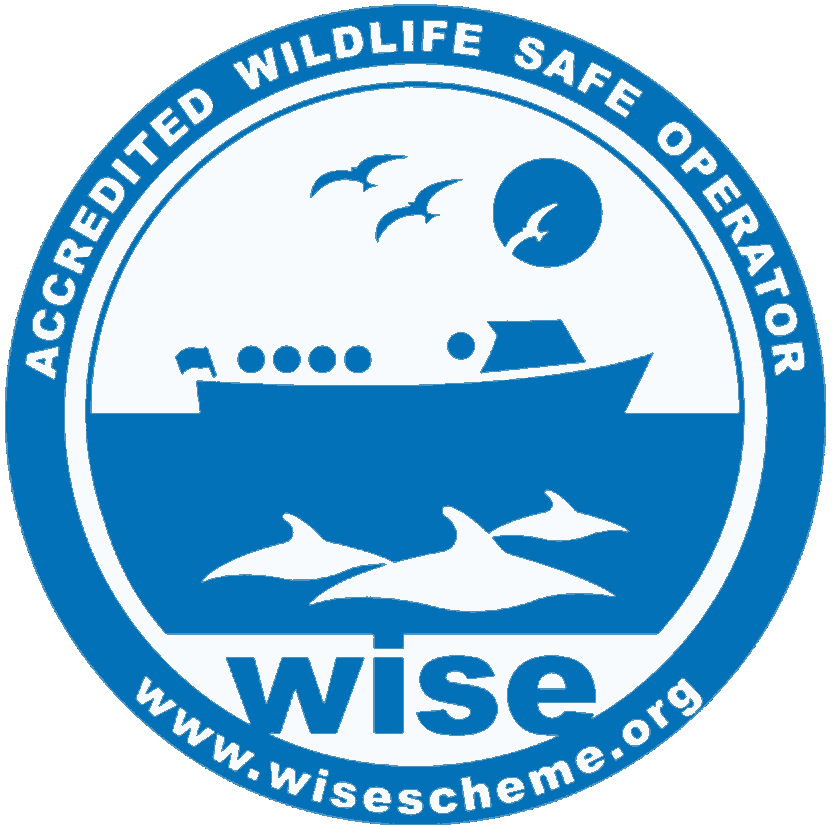 WISE Logo